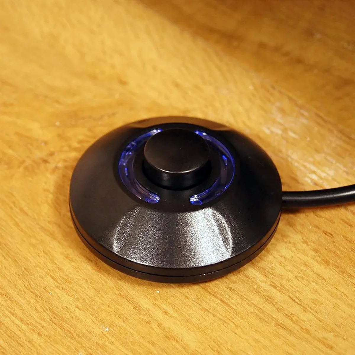 Foot Switch on Wooden Floor.jpg